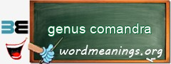 WordMeaning blackboard for genus comandra